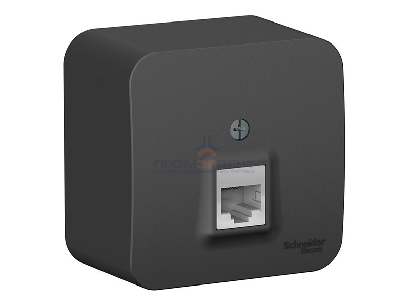 Розетка компьютерная RJ45 кат.5E Blanca Schneider Electric антрацит изол.пластина
