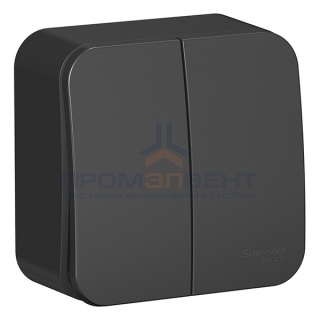 Выключатель 2-клавишный (cх.5) Blanca Schneider Electric 10А 250В антрацит изол.пластина